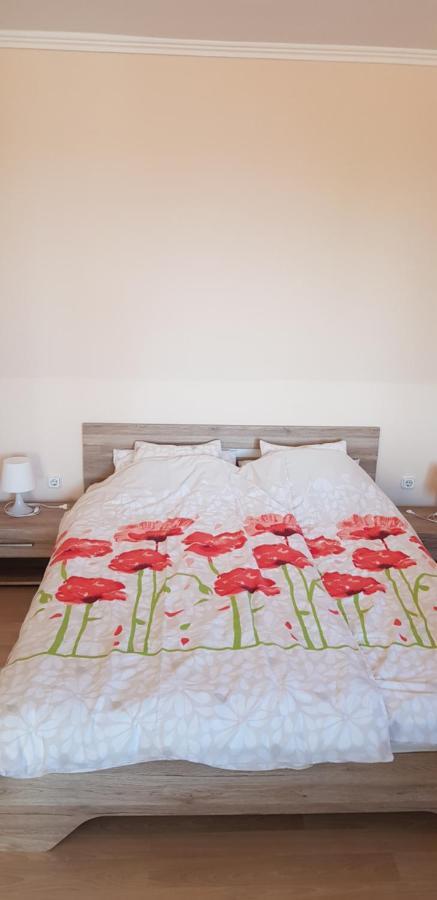 Boglarka Apartman ハイデゥソボスロー エクステリア 写真